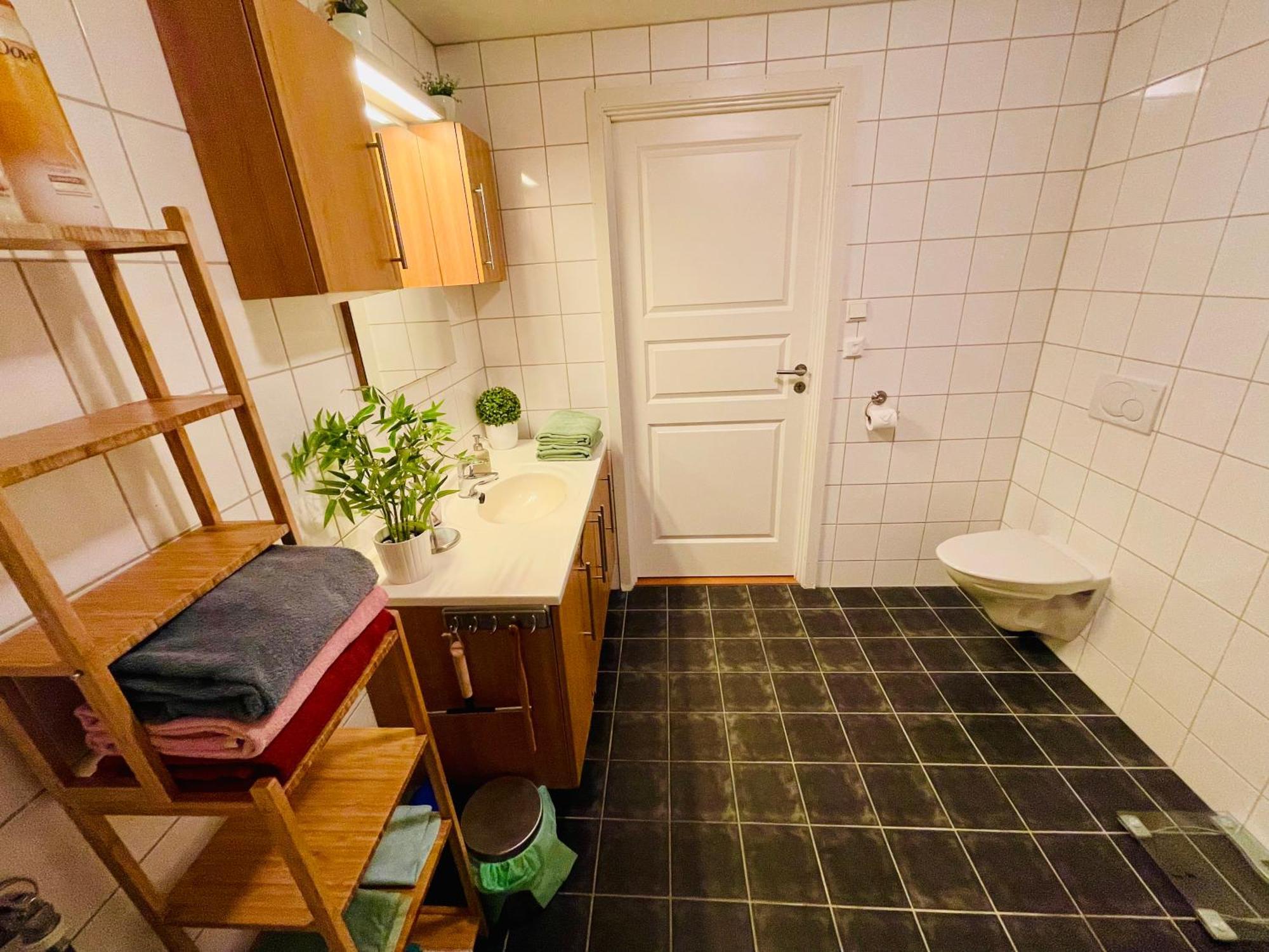 Spacious Modern Apartment Trondheim Eksteriør bilde